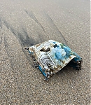 EBF029.jpg