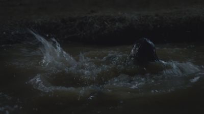 EBF775.jpg