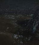 EBF781.jpg