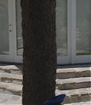 EBF1447.jpg