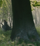 EBF276.jpg