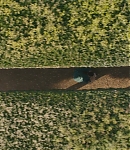 EBF637.jpg