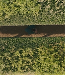 EBF639.jpg